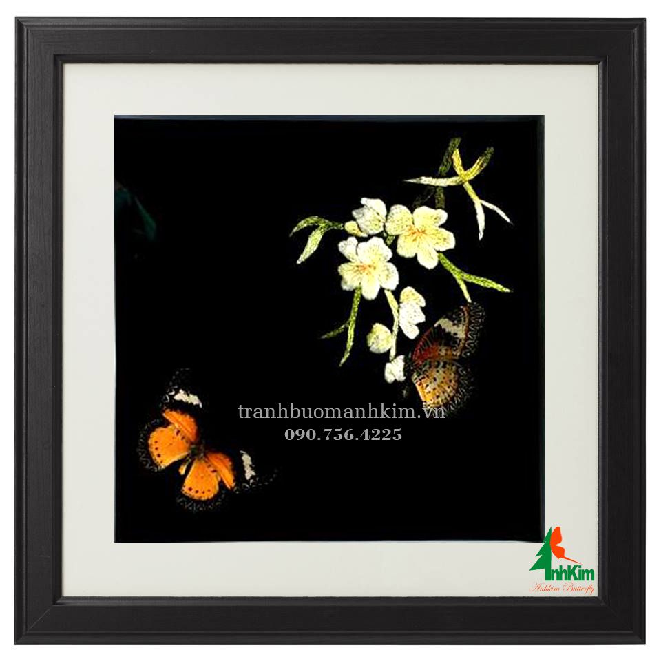 Hoàng lan và bướm